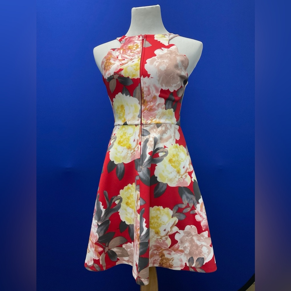 Trixxie Dress